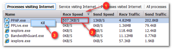 Net Monitor Example1